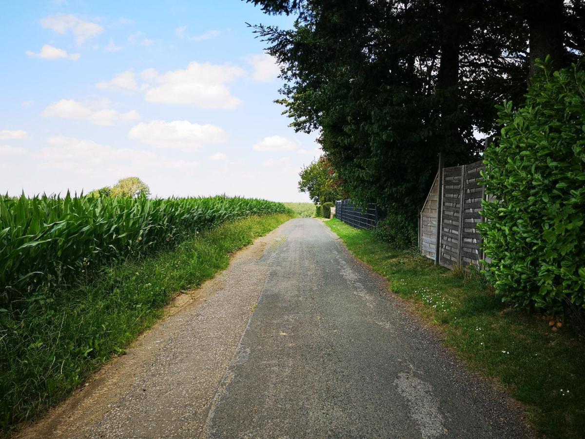 Ferienwohnung "In De Uehl" Hurtgenwald ภายนอก รูปภาพ